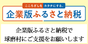 企業版ふるさと納税